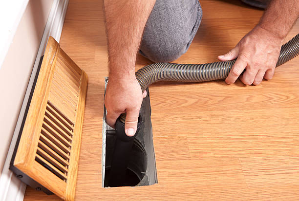 Best Professional Duct Cleaning Services  in Pierz, MN
